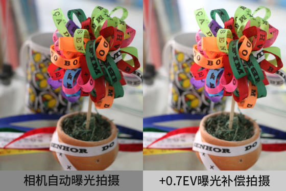 相機(jī)自動曝光有時候不能獲得理想亮度。這時候可以使用曝光補(bǔ)償。