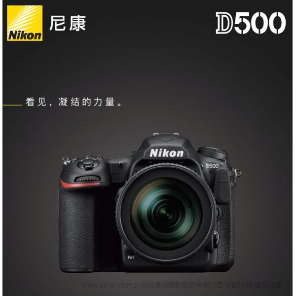 Nikon D500尼康宣傳彩頁(yè)Nikon D500 海報(bào) 宣傳冊(cè)Nikon D500 經(jīng)銷商宣傳畫冊(cè) Nikon D500展會(huì)宣傳圖